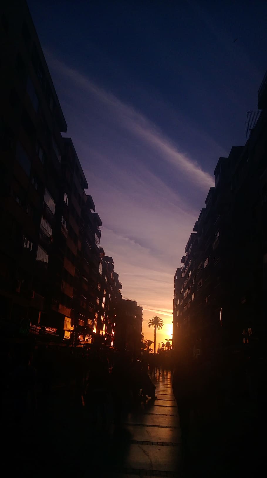 city, sunset, sky, silhouette, tree, in the evening, light, shadow, horizon line, a light sweat