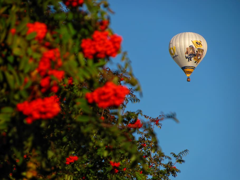 balon, udara panas, terbang, mengambang, kesenangan, rekreasi, naik, petualangan, udara, warna-warni