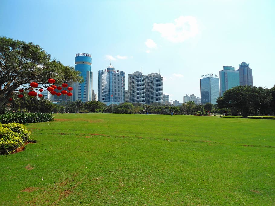 green grass field, haikou, china, city, buildings, skyscrapers, architecture, urban, cities, park