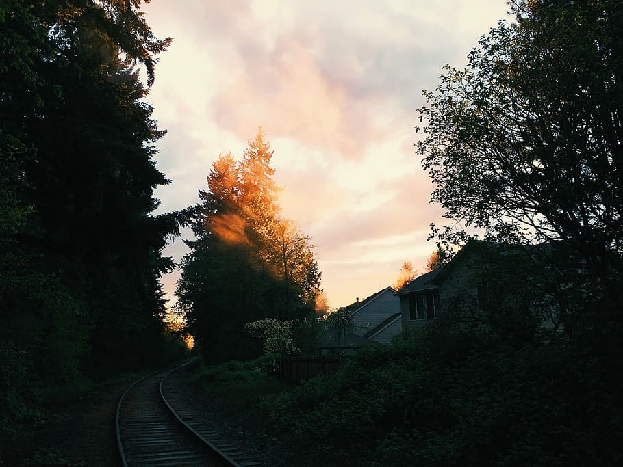 Blanco, de madera, casa, vía del tren, durante el día, verde, árbol, ferrocarril, transporte, viaje