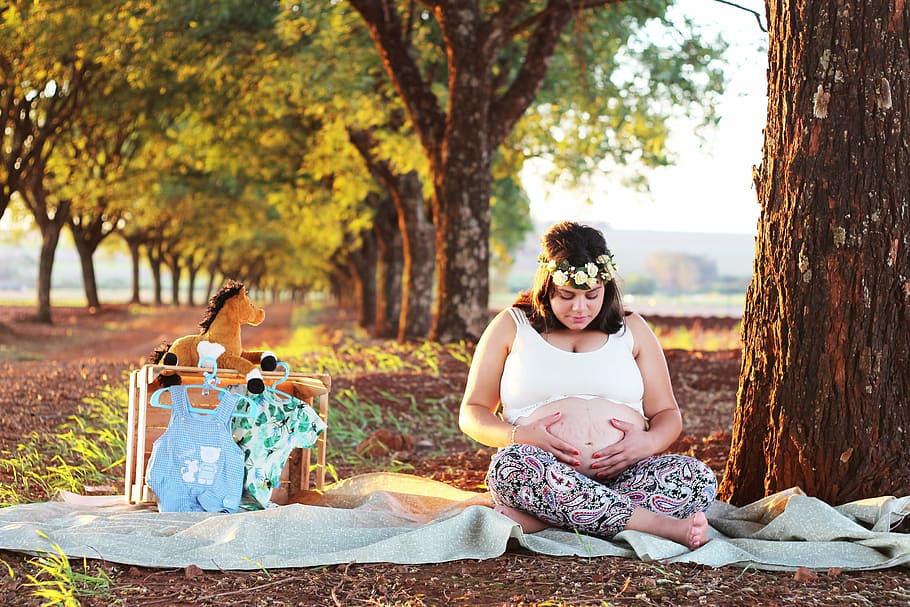 pregnant woman, mother, essay, pregnant book, pregnant, sitting, tree, women, full length, nature
