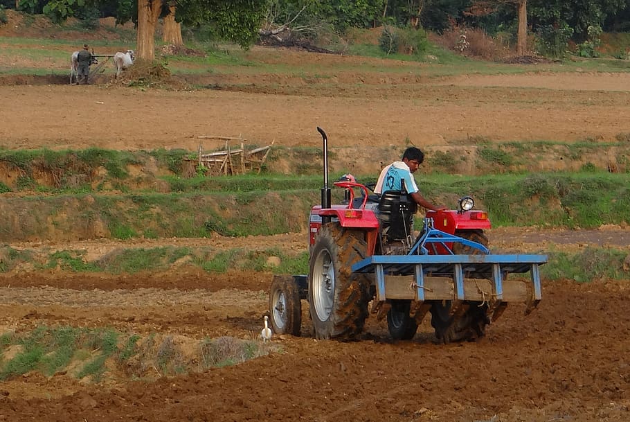 traktor, anakan, pengolahan, peralatan, pertanian, karnataka, india, petani, bekerja, membajak