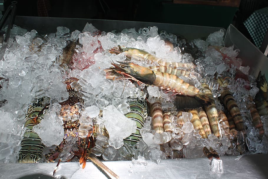 camarão, frutos do mar, república das filipinas, mercado, delicioso, sala de jantar, boracay, à venda, animal, Comida