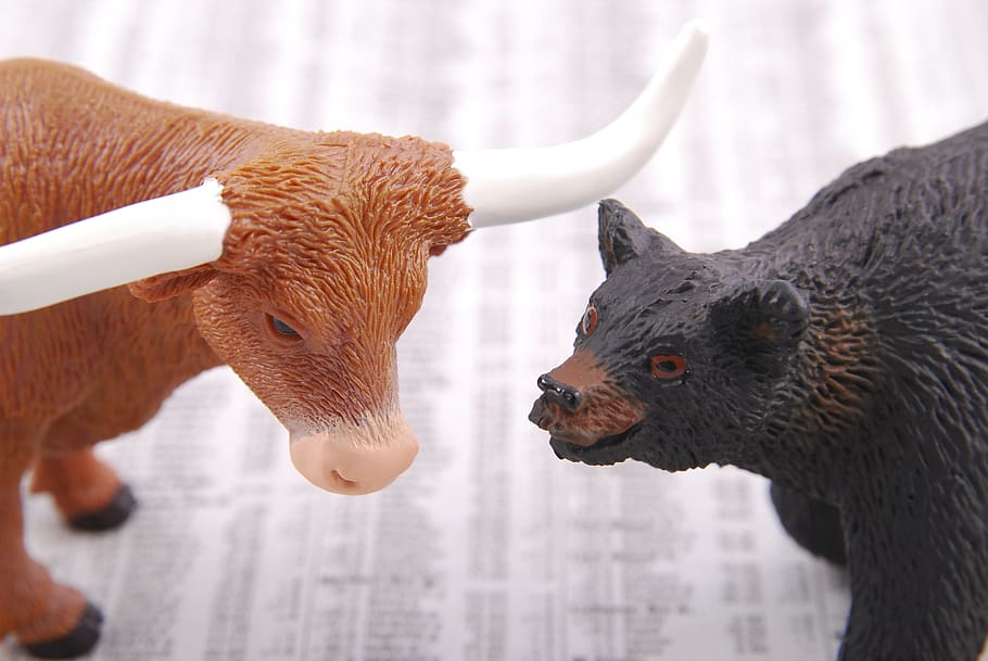 toro, oso, acciones, mercado, negocios, finanzas, intercambio, financiero, inversión, alcista