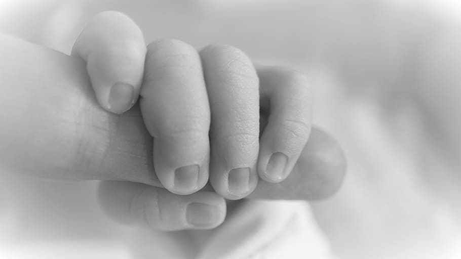 Recién nacido, mano, pequeño, dedo, uñas, bebé, hospital, nacimiento, primer plano, cinco