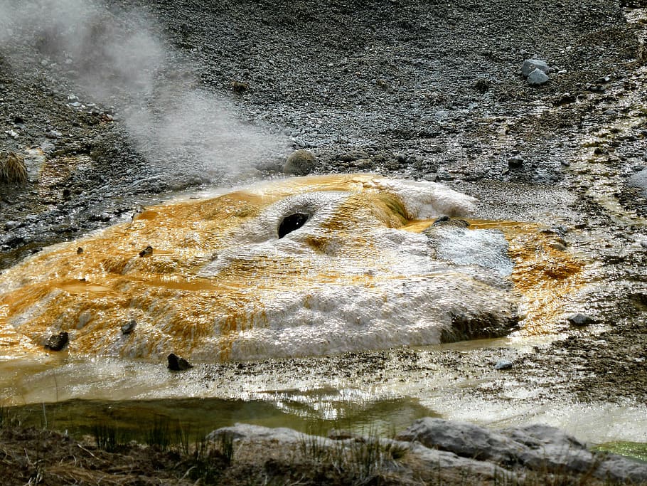 geyser, steam, fog, hot, sulfur, gif, hot well, yellowstone, non, usa