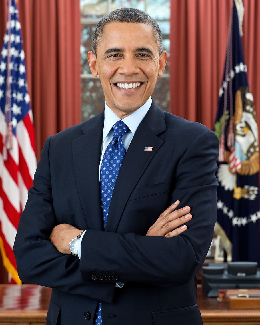 barrack obama, barack obama, 2012, retrato oficial, presidente de los estados unidos, político, bandera estadounidense, jefe de estado, barack hussein obama, política