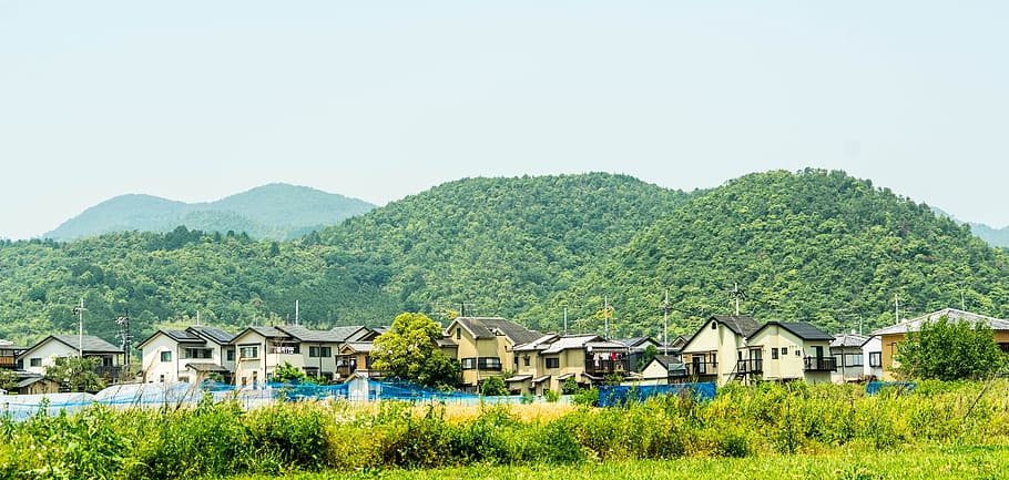 Japan, Arashiyama, Landscape, Kyoto, trees, nature, travel, asian, green, mountains