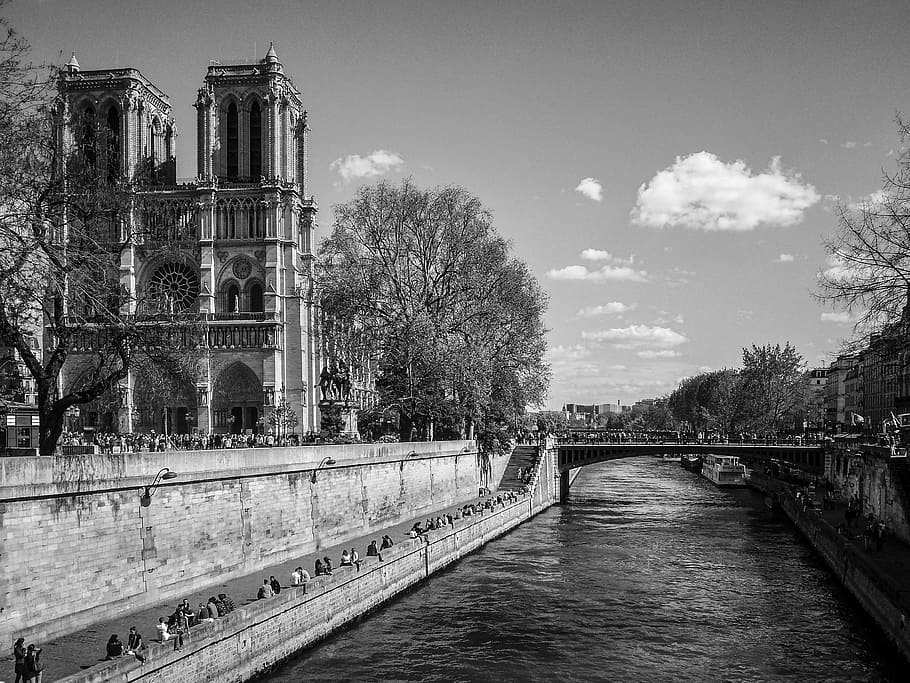 Damme, Catedral, França, Paris, Notre Damme, centro da cidade, cidade, arquitetura, branco, sombra