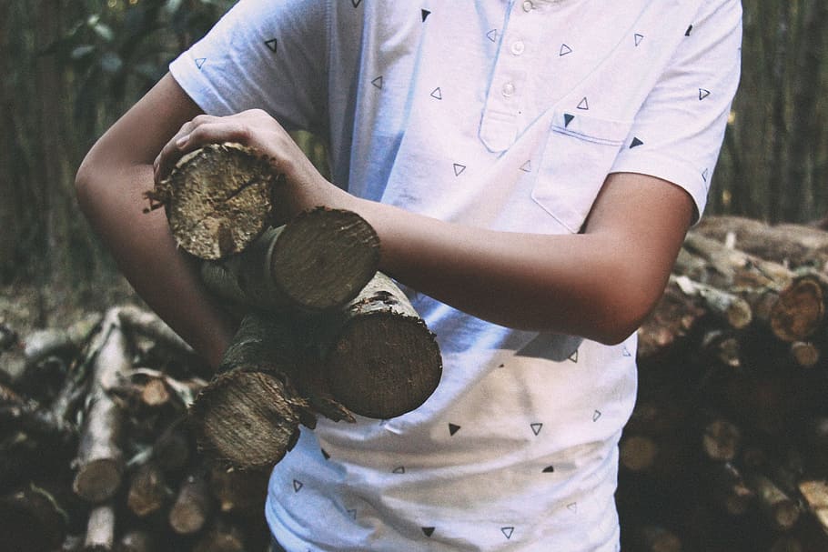 person, carrying, brown, logs, firewood, wood, timber, rural, man, male
