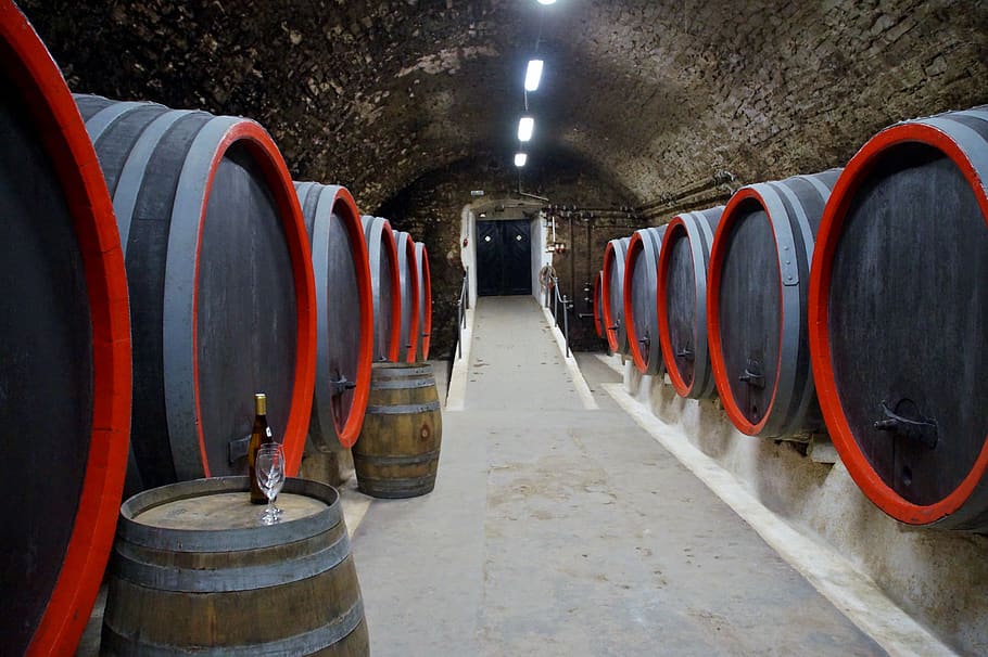 viticulture, wine, barrels, storage, cellar, wood, wooden, old, alcohol, traditional