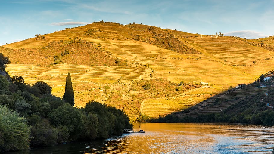 río, foto de la colina, douro, portugal, viaje, puesta de sol, agua, paisaje, abendstimmung, pintorescos - naturaleza