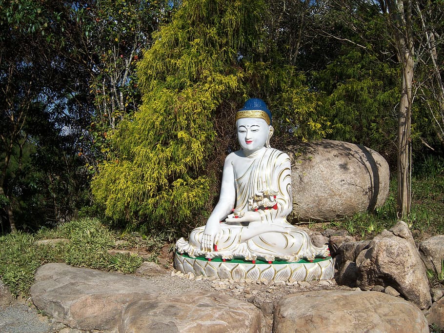 estatuilla de buda, buda, buda china, escultura, templo budista, agouti, são paulo, brasil, estatua, budismo
