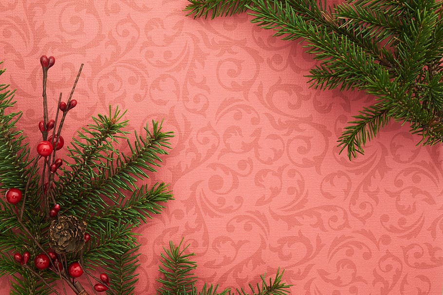 seasonal, backgrounds, christmas, flat lay, branches, festive, copyspace, holiday, red, merry