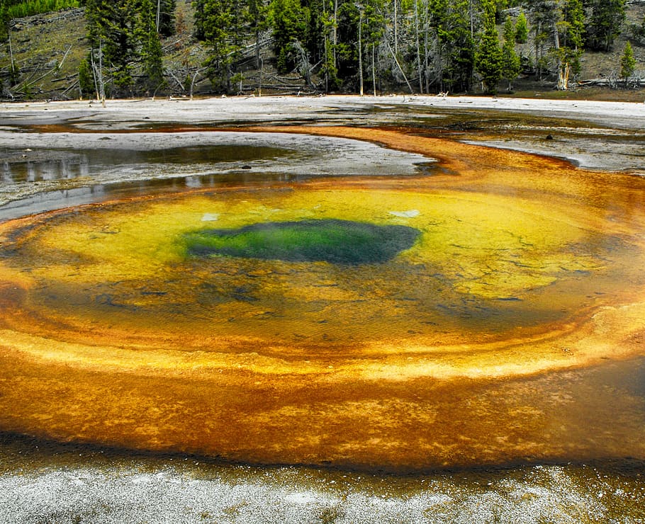 geyser, national park, wyoming, yellowstone, national, park, hot, water, steam, landscape