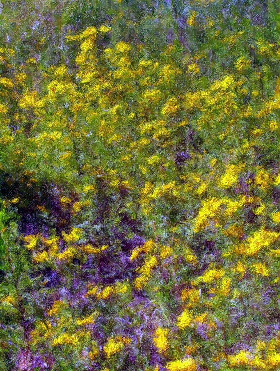 kuning, ungu, lukisan bunga petaled, Bunga Liar, Lukisan, Musim Panas, Musim Semi, bunga, pola, mekar