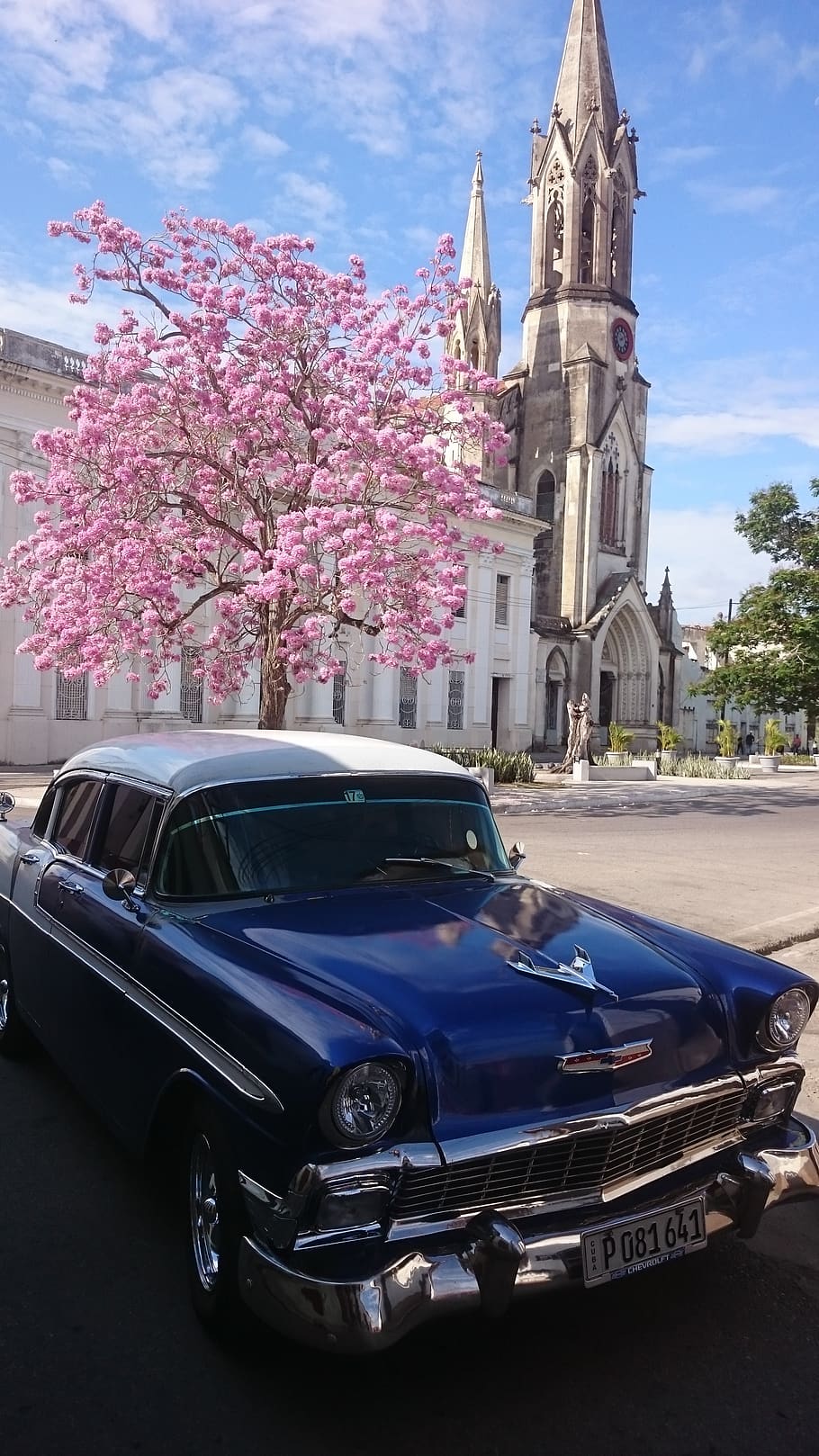 Cuba, coche clásico, clásico, oldtimer, v8, la habana, vintage, modo de transporte, transporte, planta
