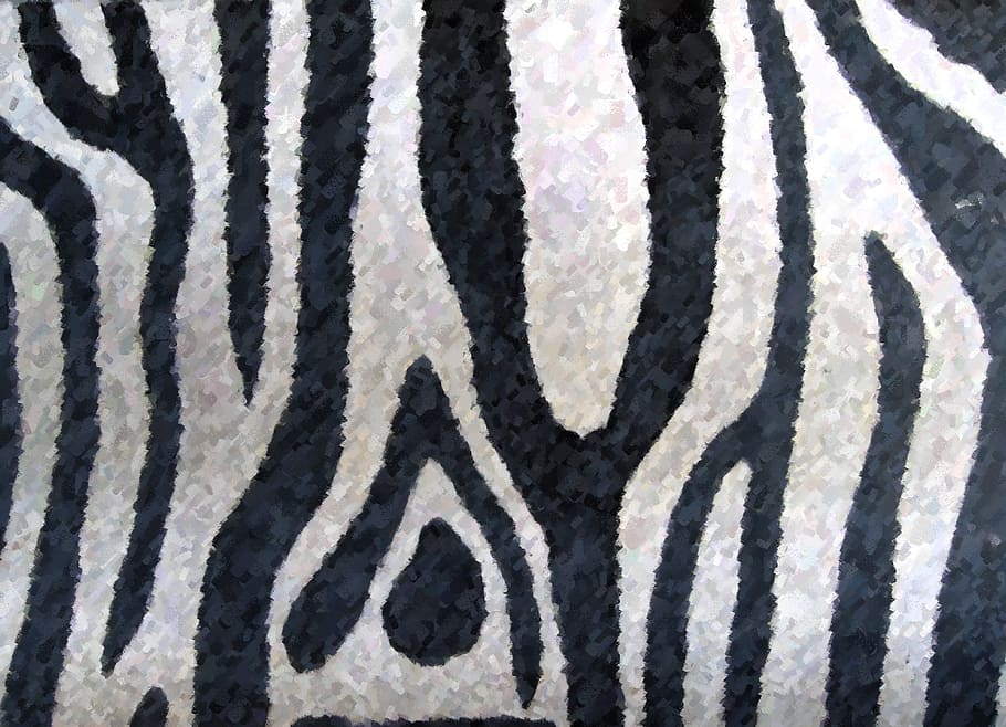black, zebra skin print textile, Zebra, Zoo, Coat, White, Bla, black white, zebra stripes, safari