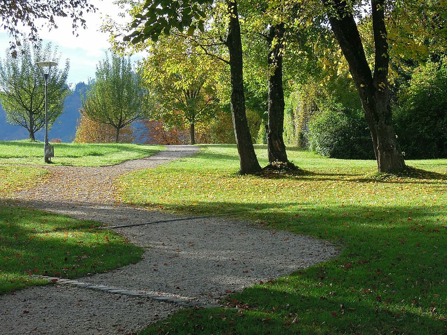 Вдали, спешка, осень, парк, дерево, природа, трава, зеленый цвет, спокойная сцена, сценарии