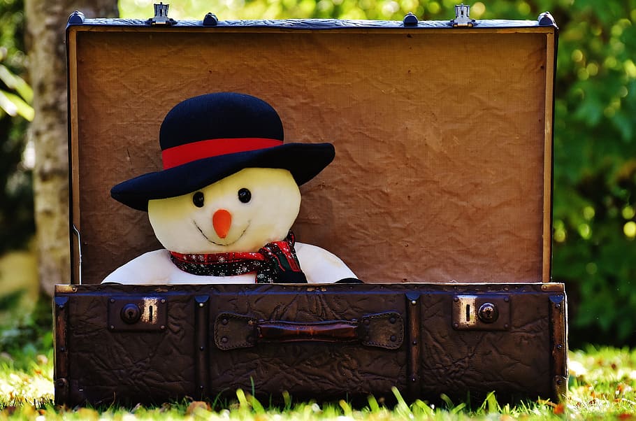 selective, focus photo, snowman, inside, box, winter ade, snow man, send away, luggage, antique