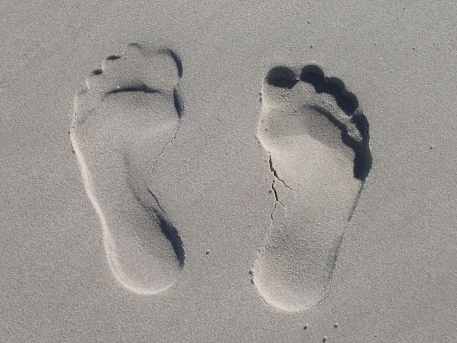 footprints on seashore, sand, reprint, feet, sole, ten, impression, beach, summer, fun bathing