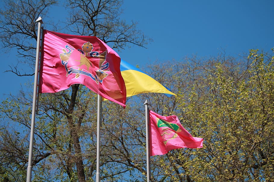 nature, sky, outdoors, tree, flags, the emblem of the city, ukrainian flag, ukraine, flag of zaporizhia, patriotism