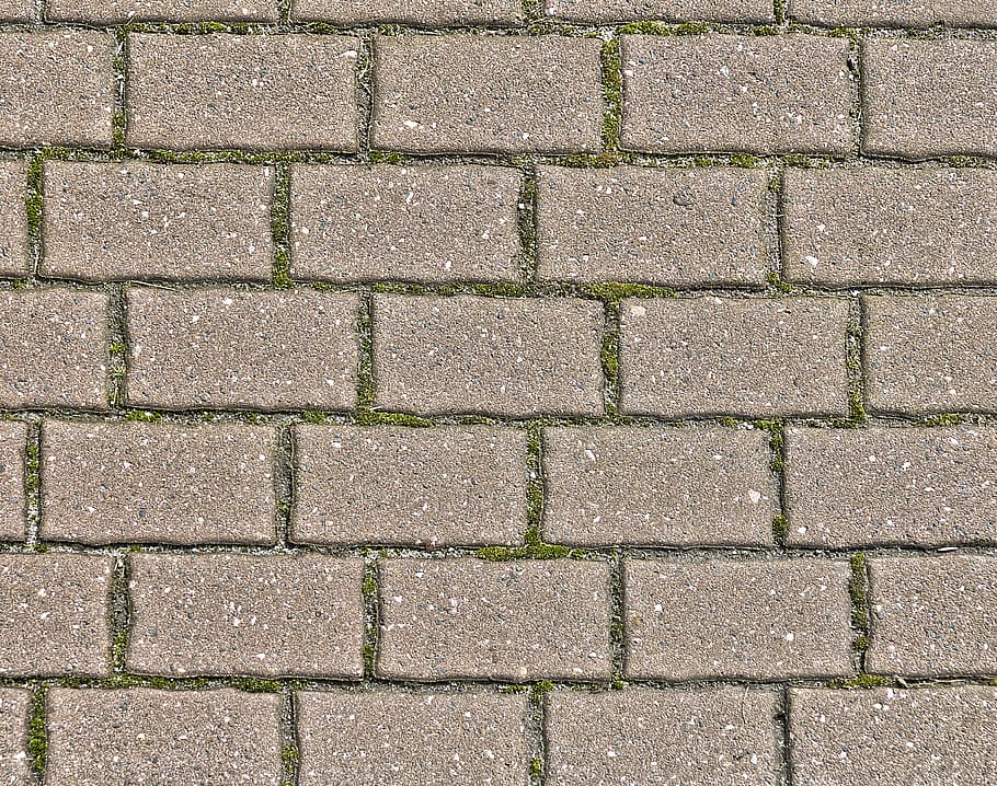 concrete paving, paving stones, flooring, concrete block, patch, paved, background, stone, terrace, outside plant