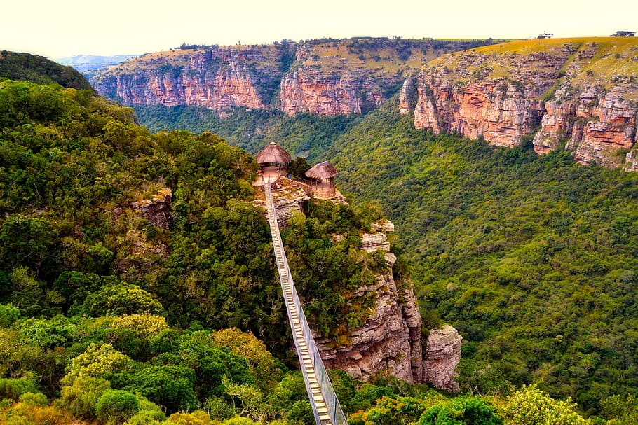 gray, bridge, mountain, south africa, mountains, ravine, valley, gorge, landscape, forest