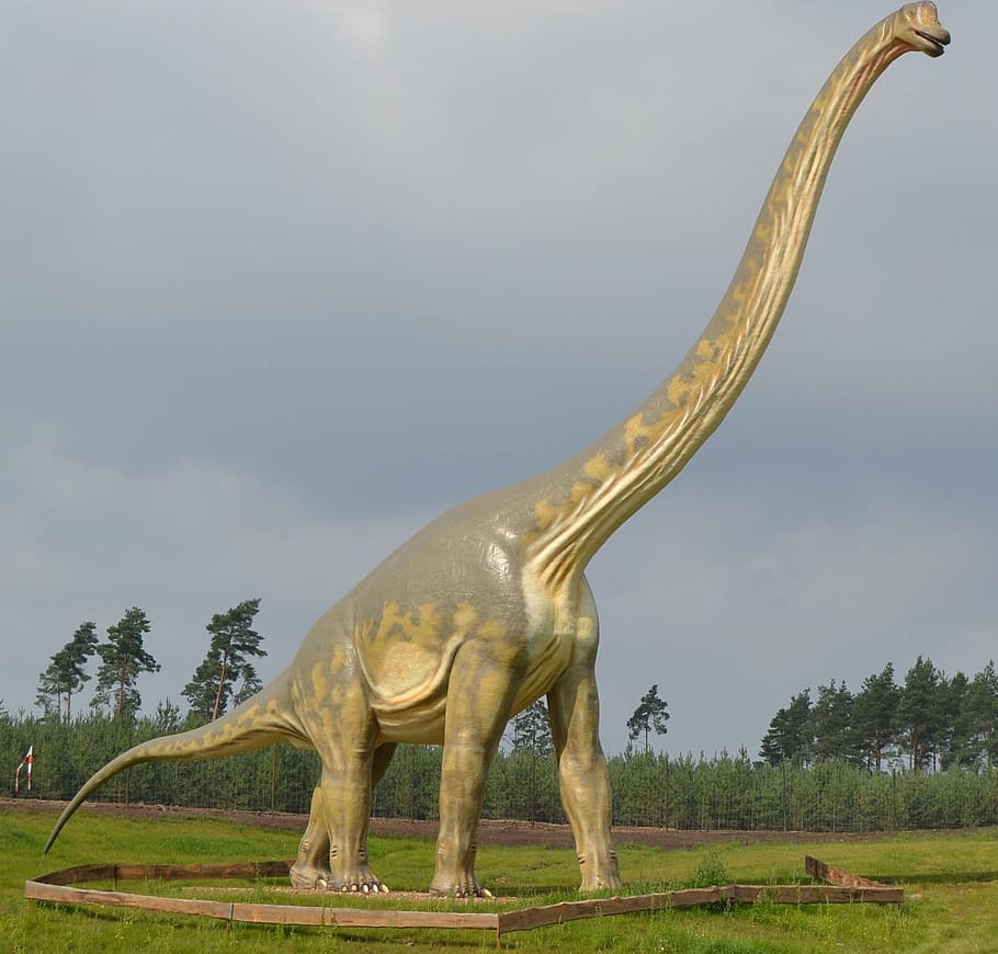 dinossauro parasaurolophus, dinossauro, brontossauro, saurópodes, apatosaurus, parque temático, tempos pré-históricos, céu, representação, arte e artesanato