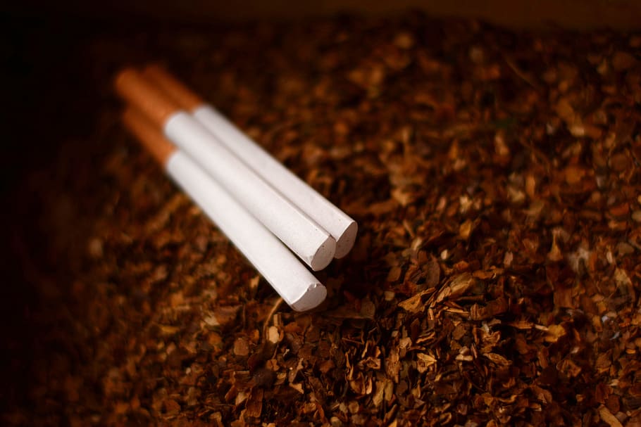 cigarro, fumo, fumaça, tabaco, câncer, estilo de vida, um, marrom, bobinas, um maço de cigarros