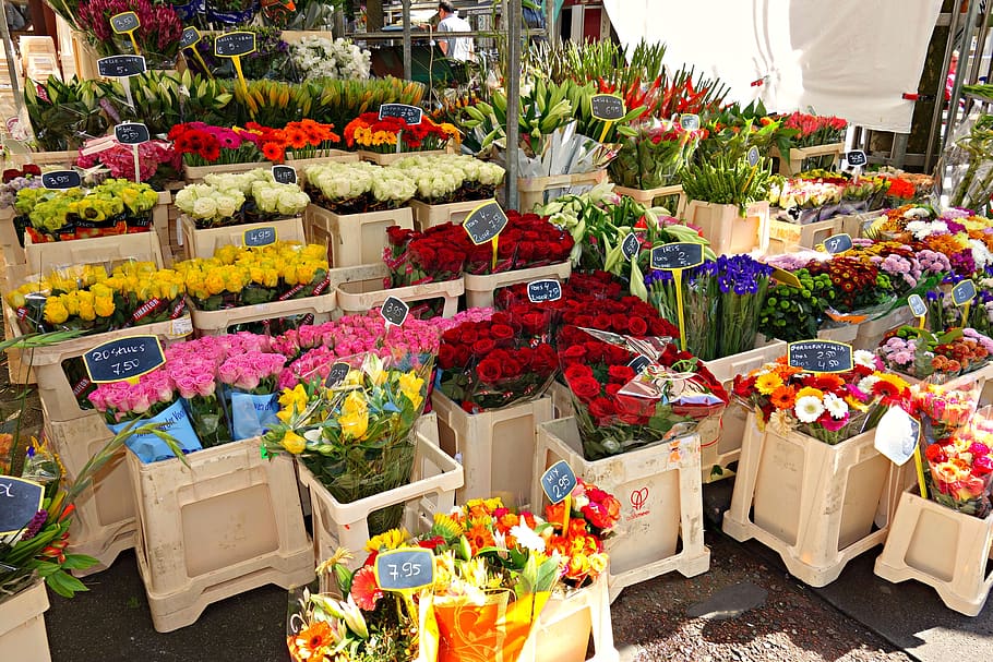 bunga, kios bunga, karangan bunga, tandan, pasar, kios pasar, pilihan, variasi, eceran, tanaman berbunga