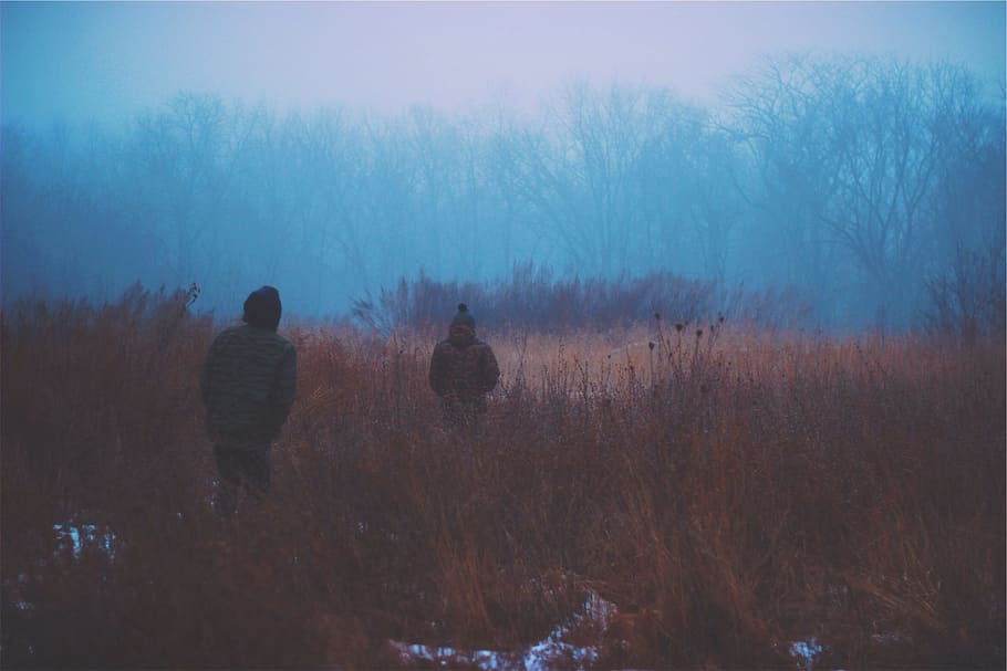 dua, orang, berjalan, berkeliling, semak, kabut, siang hari, gelap, musim dingin, dingin