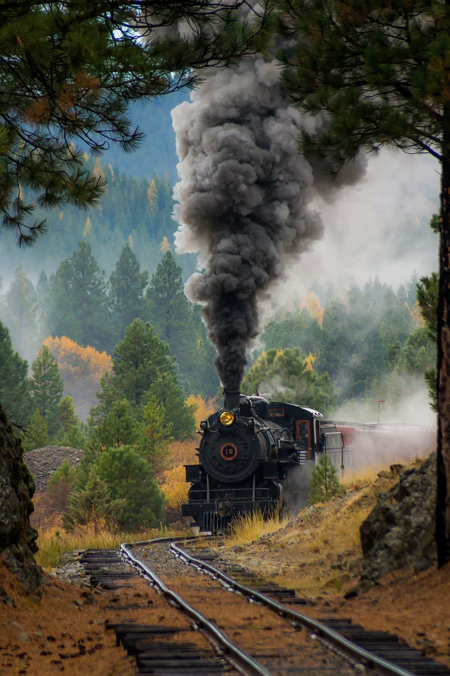 Negro, tren, rodeado, árboles, máquina de vapor, motor, humo, vías del tren, ferrocarril, locomotora