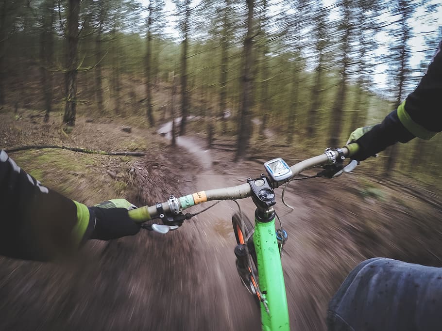 green, mountain bicycle, passing, forest, mountain biking, cycling, mountain bike, bike, sport, biking