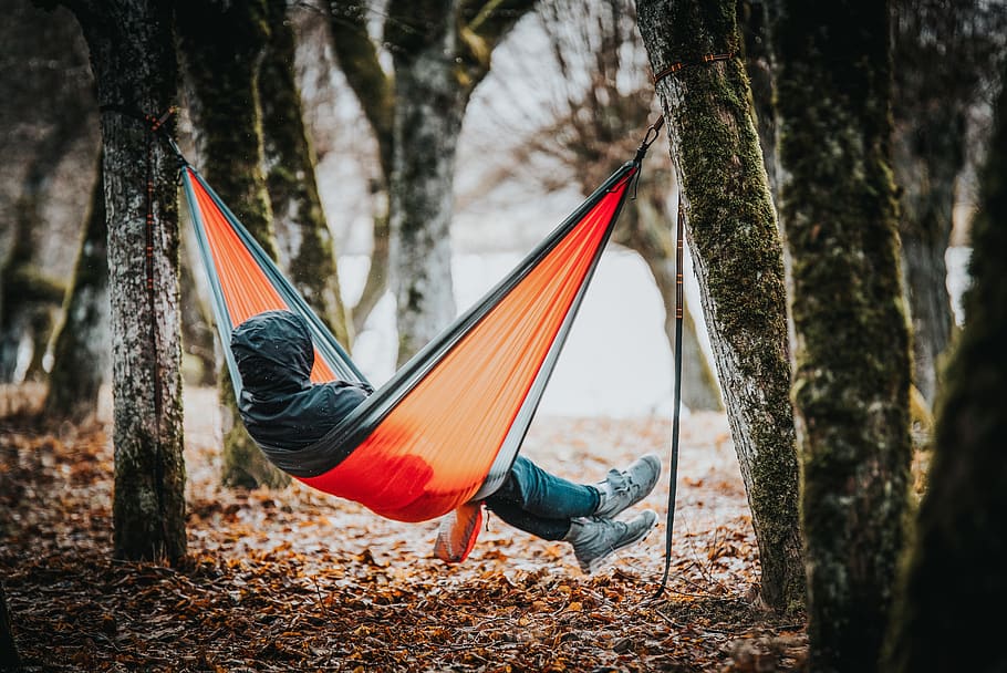 man, hammock, trees, autumn, rainy, relaxing, fall, leaves, trunk, tree