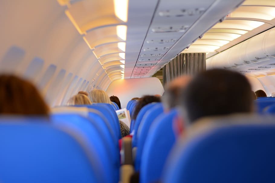 people, sitting, airplane seats, passengers, airline, seats, chairs, rows, fly, economy