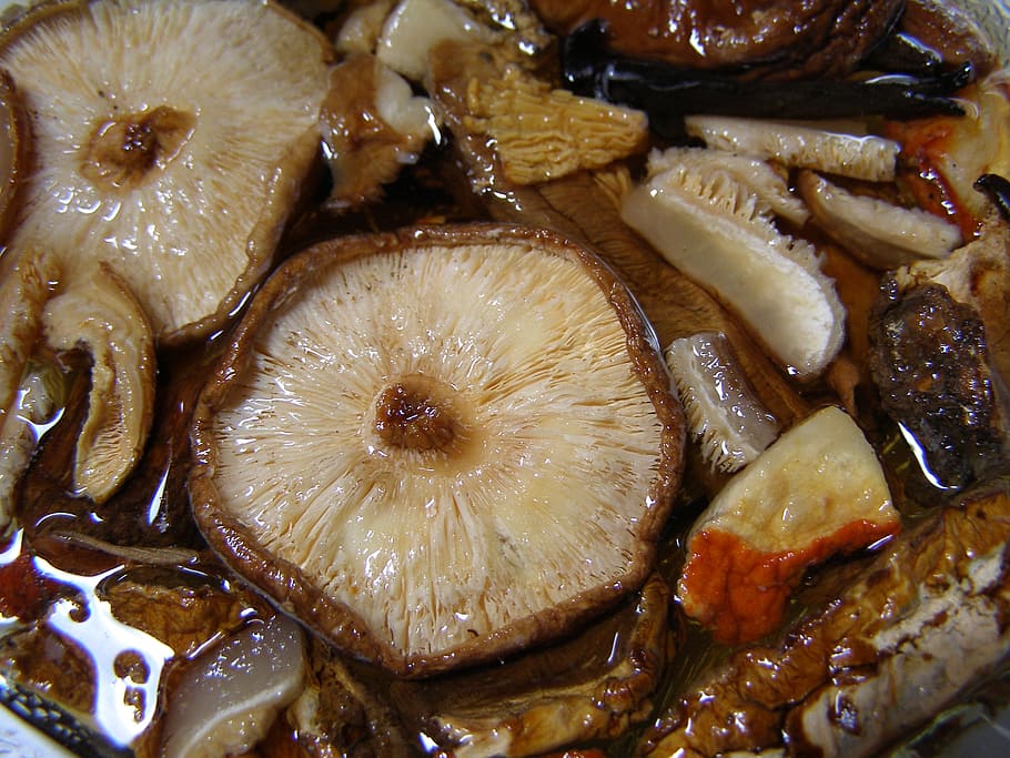 jamur, shiitake, makanan, coklat, sehat, vegetarian, masakan, nutrisi, Asia, Jepang