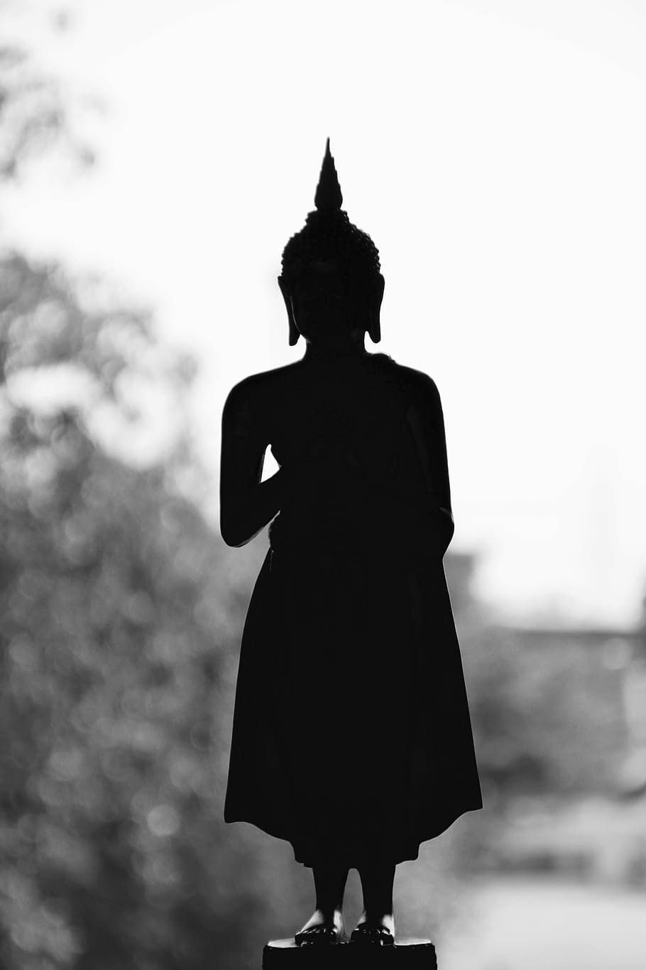 silhouette, buddha statuette, daytime, bangkok, buddha, gold, meditation, buddhism, thailand, asia