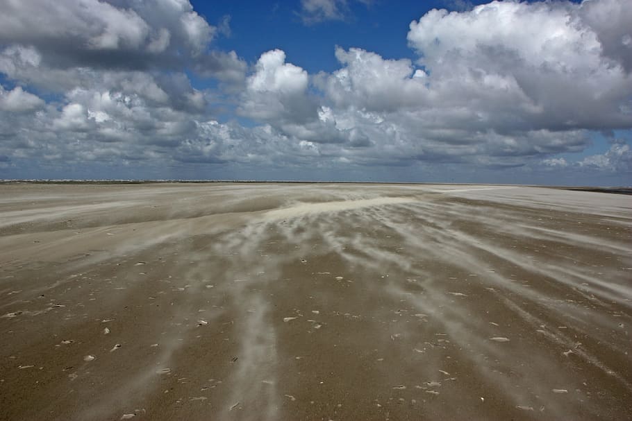 north sea, sandstorm, beach, sand, sankt-peter obi, coast, cloud - sky, sky, environment, landscape