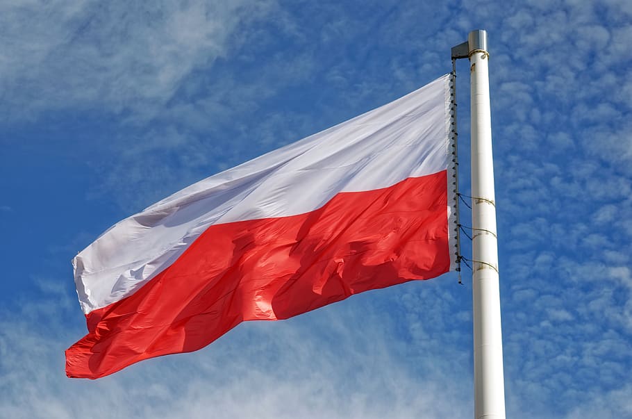 bendera, nasional, Polandia, dua, warna, putih, merah, pilar, simbol, patriot