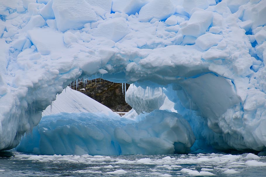 antarctica, antarctic peninsula, cierva cove, ice, iceberg, blue ice, glacier, polar, cruise, cruising