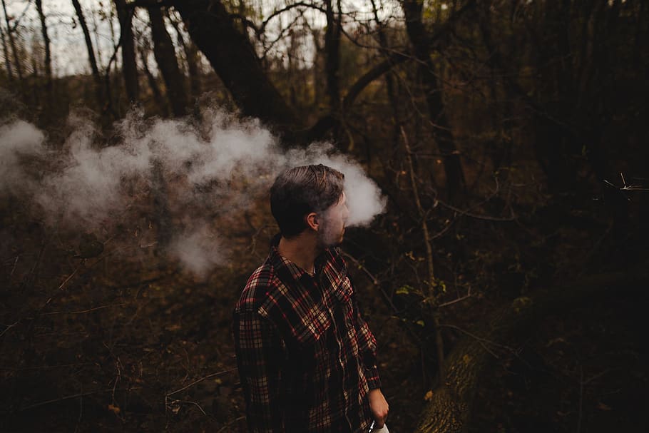 trees, plant, nature, forest, wood, people, man, smoking, smoke, cigarette