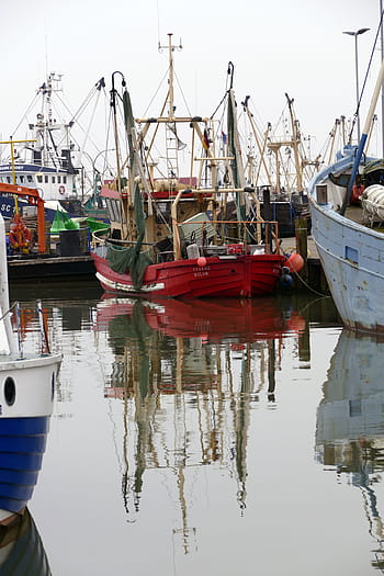 sea-port-pier-boats-shrimp-royalty-free-thumbnail.jpg