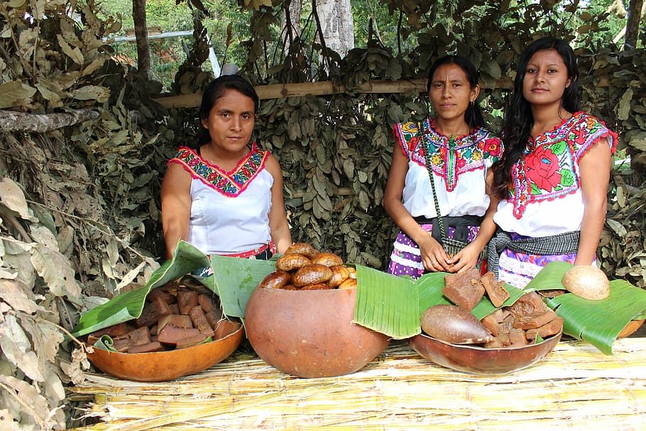 wanita, berdiri, depan, meja, India, oaxaca, pakaian tradisional, asli, meksiko, chatina