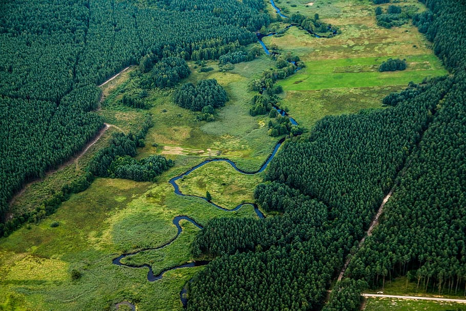 river, landscape, nature, green, poland, band, forest, aerial photo, flight, plant