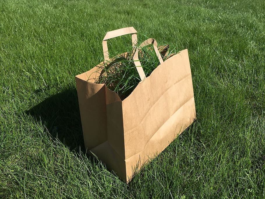 bag, grass, green, background, garden, outside, waste, brown, paper, nature