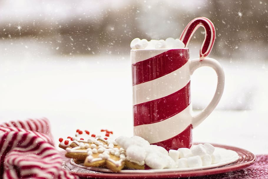 white, red, striped, mug, marshmallows, plate, cocoa, hot chocolate, candy cane, snow