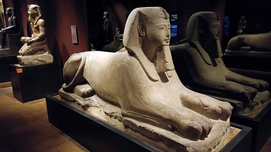 torino, egyptian museum, egyptian statues, antiquity, piemonte, sphinx, sculpture, art and craft, representation, statue