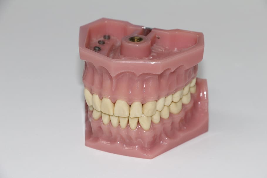 dentures, white, surface, art dentures, put the bite, dentist, dental instruments, dentist equipment, zahnarztpraxis, tooth doctor