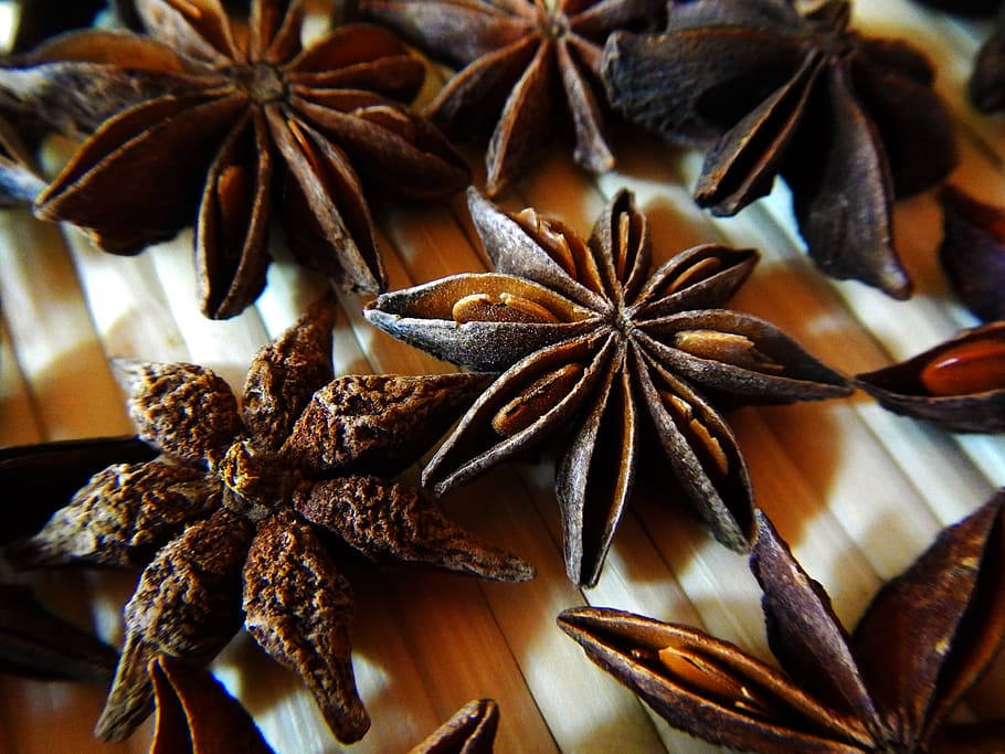 star anise, dry fruit, aroma, star, anise, essence, liquor, close-up, food and drink, food